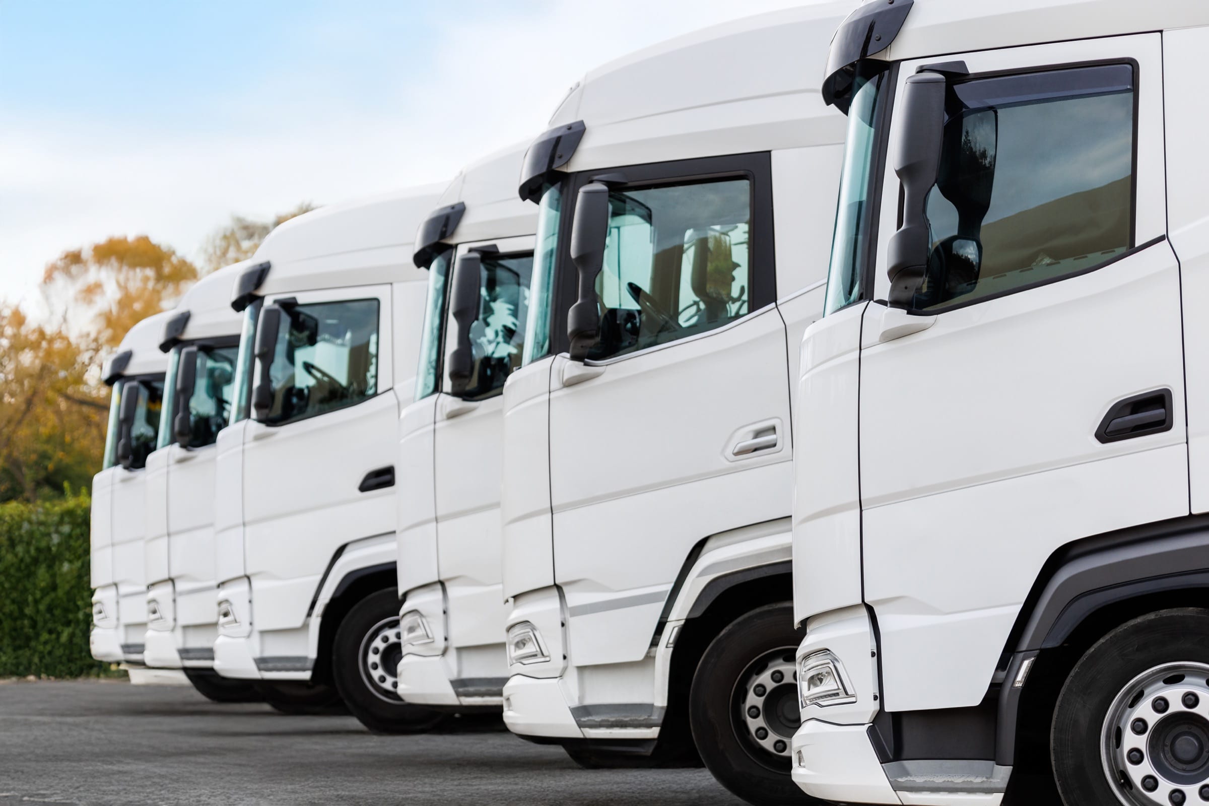 Een rij witte trucks die qua merk, type en kleur sterk op elkaar lijken